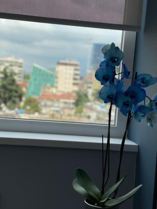 Apartmán Voyage Penthouse Tirana Exteriér fotografie